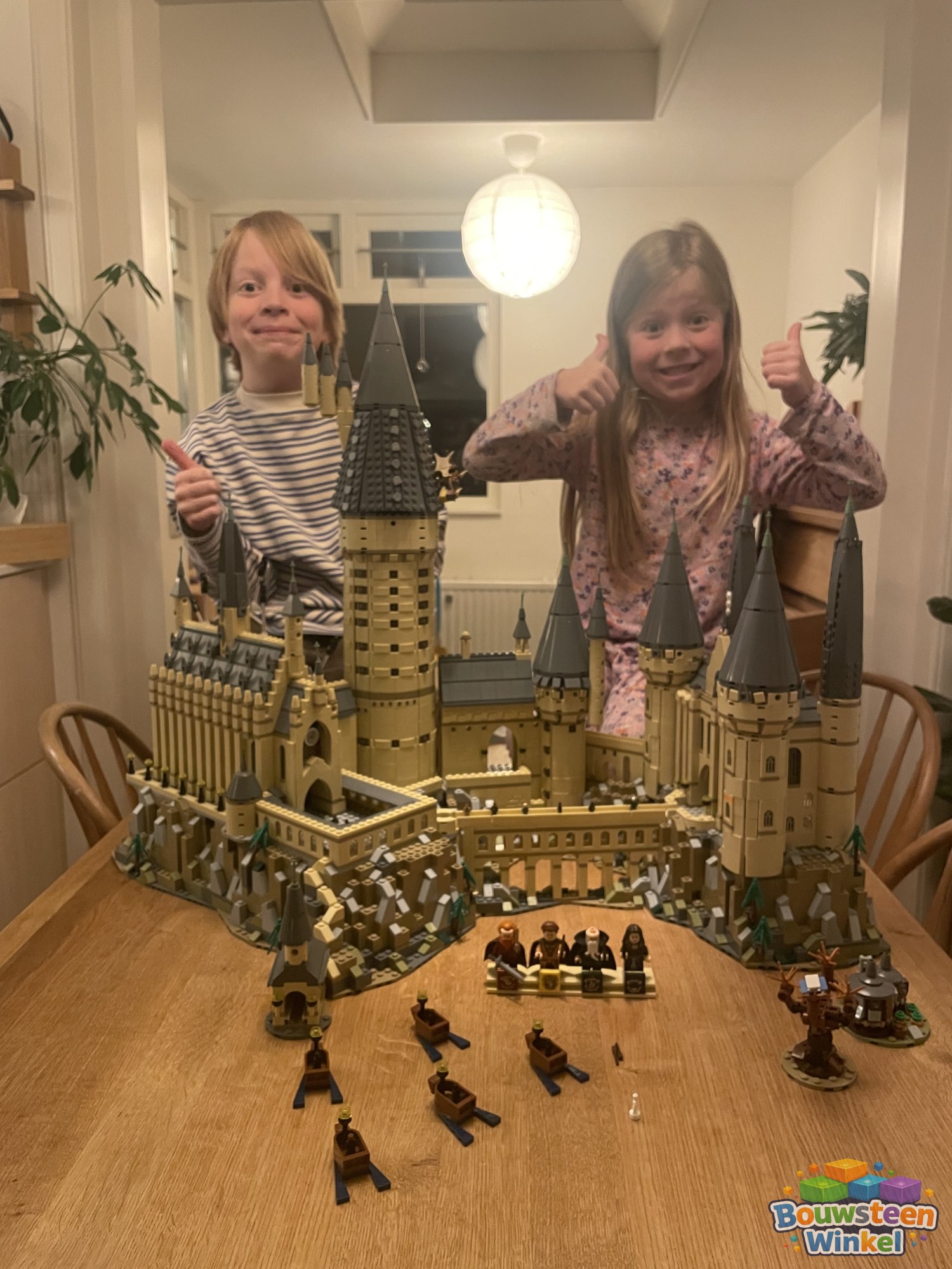 LEGO Harry Potter Kasteel Zweinstein - 71043, gebouwd en ingestuurd door een huurder van Bouwsteenwinkel