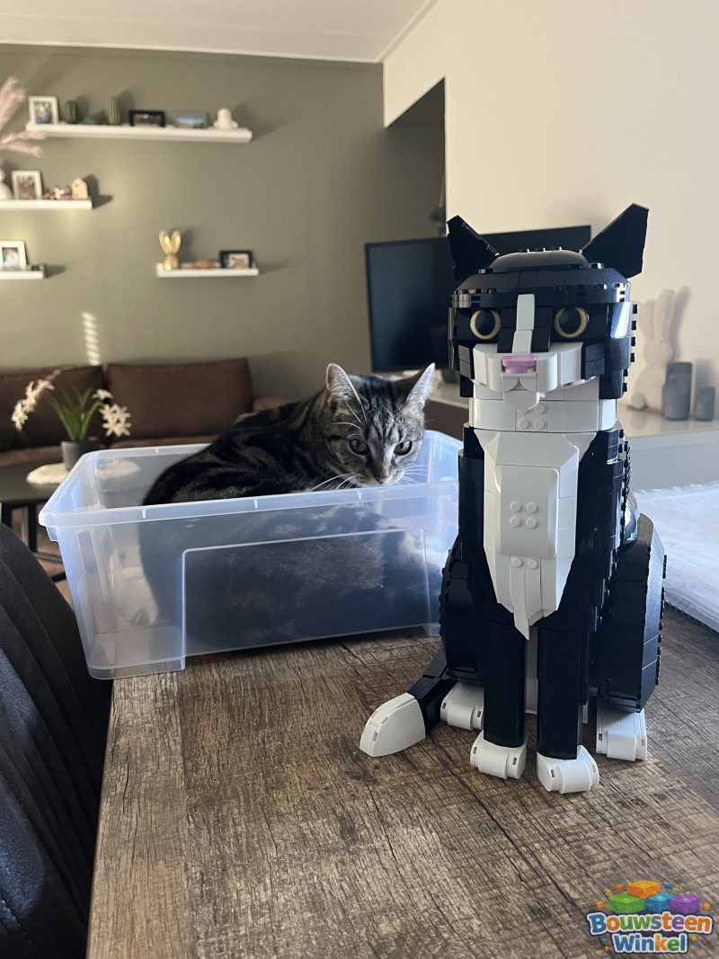 LEGO Ideas Zwart-witte kat - 21349 gebouwd door klant — Architecture / Ideas