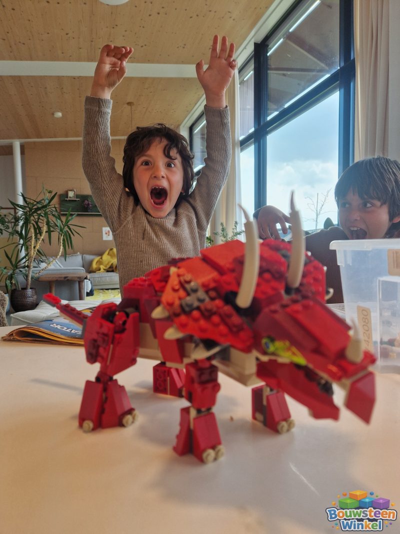 LEGO 4892-2 gebouwd door klant — Overig