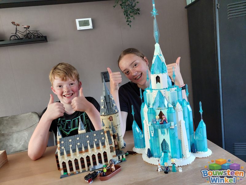 LEGO Disney Het ijspaleis - 43197 gebouwd door klant — Disney