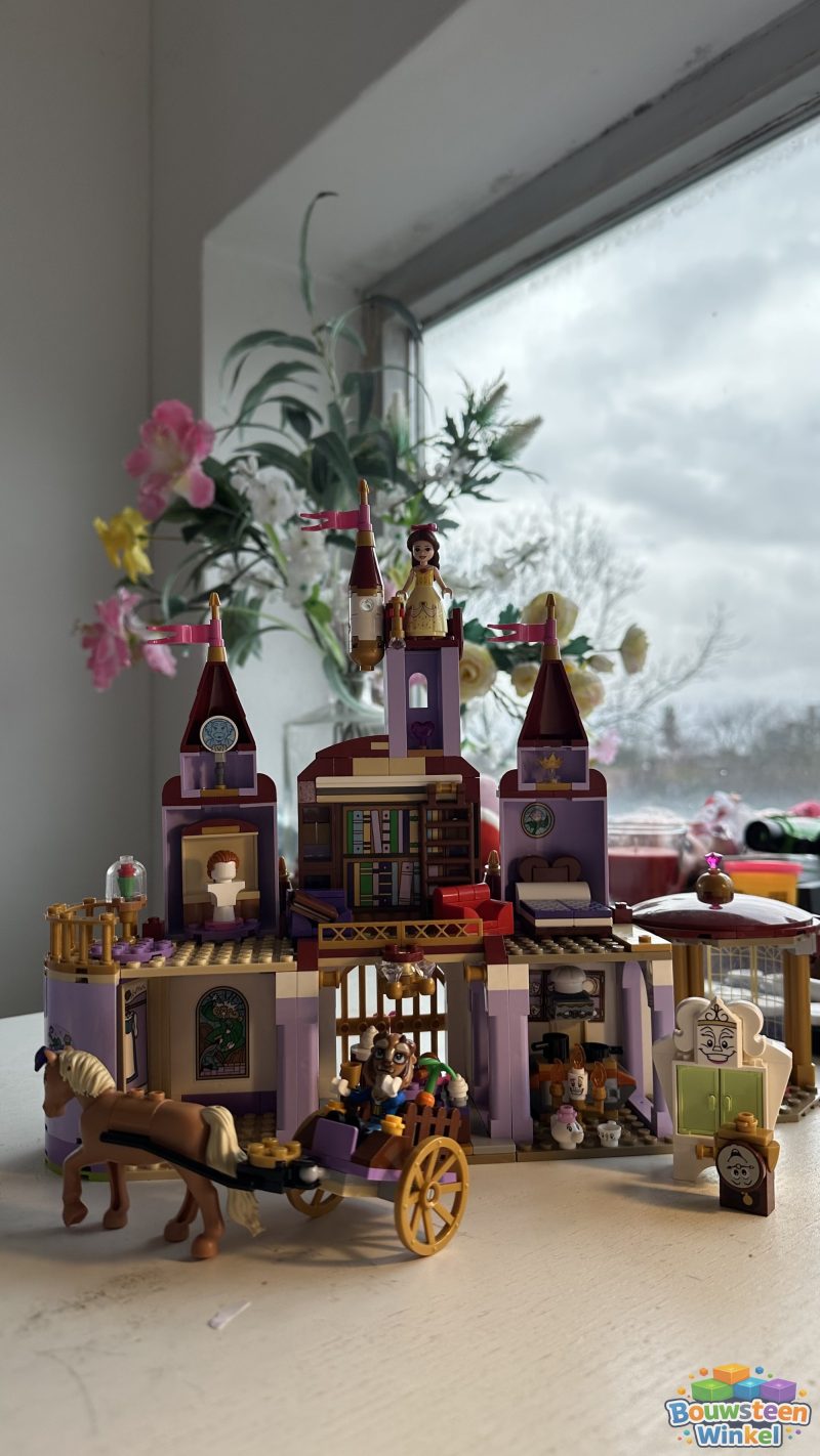 LEGO 43196 gebouwd door klant — Disney